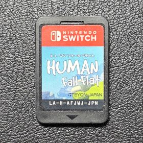 Switch ヒューマンフォールフラット ソフトのみ ケースなし