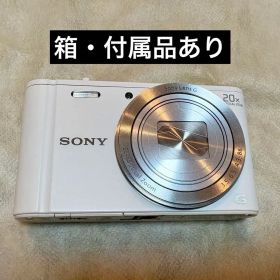SONY Cyber-shot DSC-WX350【箱・付属品あり】