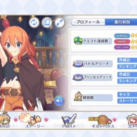 アカウント販売戦力1000万↑限界突破85↑フェス限コンプデータ【引退垢】プリコネ戦力8000000プリンセスコネクト引退プリンセスコネクト値下げOK！引退アカウント販売引退アカウント【覇瞳皇帝います】引退垢・プリフェスコンプ・星6キャラ43体・水...プリコネ 星6 限定キャラ多数 レベル235引退予定。今でも毎日ログインしてデイリー消化中引退垢 プリフェスコンプ 限定所持率高めプリコネ引退垢プレイしなくなった為アカウント販売ほぼ引退アカ 戦力590万オーバー