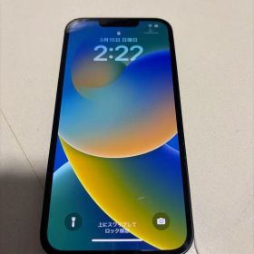 Apple iPhone 13 ブルー 本体