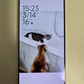 POCO F6 Pro RAM16GB 1TB