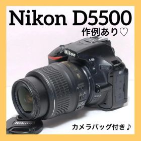 一眼レフデビューに ✨Nikon D5500✨高画質&高性能✨作例あり✨