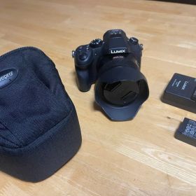 【お子様撮影に最適】LUMIX DMC-FZ1000 4K動画＆光学16倍ズーム