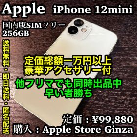 ✨国内版SIMフリーモデル✨Apple iPhone 12mini 256GB