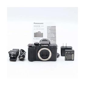 パナソニック 小型・軽量ミラーレス一眼カメラ ルミックス 標準ズームレンズキット ブラック DC-G100DK-K