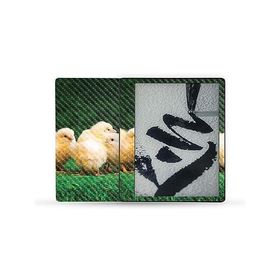 MightySkins Carbon Fiber Skin Compatible with Kindle Scribe (2022) Full Wrap - Group of Chicks | Textured Carbon Fiber Finish | Easy to Ap_並行輸入