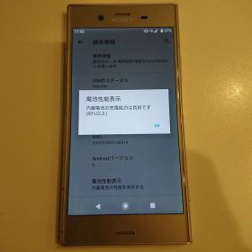 超美品☆Xperia XZ1 SOV36 au [ウォームシルバー]SIMフリー