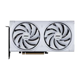 MSI GeForce RTX 5070 12G VENTUS 2X OC WHITE (GeForce RTX 5070 12GB)