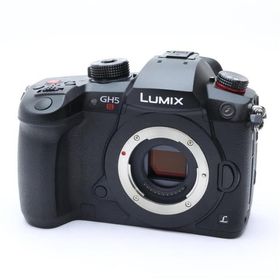 《良品》Panasonic LUMIX DC-GH5S ボディ