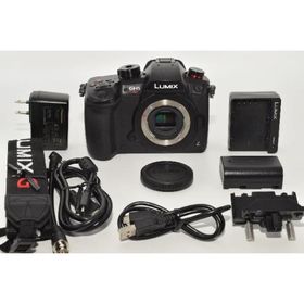 パナソニック ミラーレス一眼カメラ ルミックス GH5S ボディ ブラック DC-GH5S-K