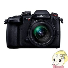 【4/5は期間限定クーポン発行】Panasonic パナソニック LUMIX Gシリーズ ミラーレス 一眼カメラ DC-GH5M2M 標準ズームレンズキット【/srm】【KK9N0D18P】