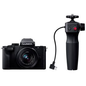 DC-G100DV-K パナソニック Panasonic ミラーレスカメラ LUMIX G100D Vキット 標準ズームレンズキット