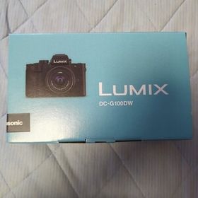 LUMIX ダブルズームレンズキット DC-G100DW （DC-G100DW-K）