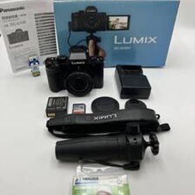 【動作確認済】Panasonic LUMIX DC-G100V 標準ズームキット