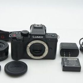美品 Panasonic パナソニック LUMIX DC-G100K 標準ズームレンズキット ミラーレス一眼カメラ 260313u【アルプスカメラ】