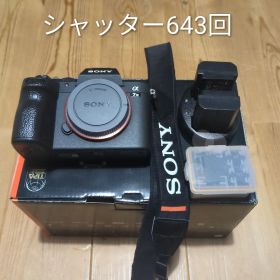 SONY α7 III ボディ ILCE-7M3 シャッター643回 外装交換