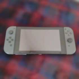 Nintendo Switch グレー HAC-001 本体