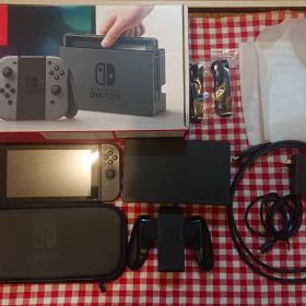 HAC-001 ポーチ保護シート付きSwitch 本体 グレー