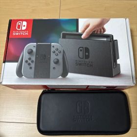 Nintendo Switch グレー 本体 中古品 専用ケースのおまけ付き