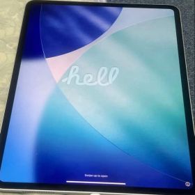 iPad Pro M4 13インチ256Gwifi applecareあり