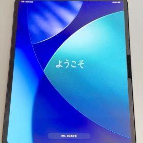 Apple 13インチ iPad Pro M4 スペースブラック 256GB