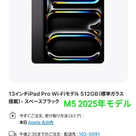 【極美品】iPad Pro M4チップ 13インチ WiFi 512GB スペースブラック 本体のみ