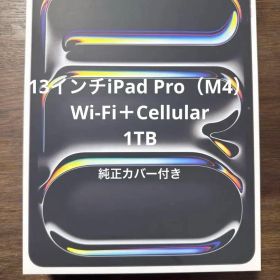 Apple iPad Pro (M4)13インチ スペースグレー セルラーモデル