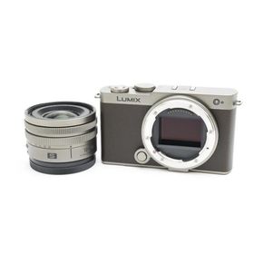 《新同品》Panasonic LUMIX S9 広角ズームレンズキット DC-S9N-N