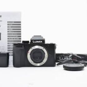 【美品・動作品・光学良好】Panasonic LUMIX DC-G100 No.1128