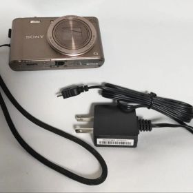 ジャンク サイバーショット DSC-WX300 ブラウン Cyber-Shot