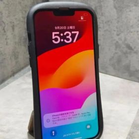 美品 iPhone 13 Pro Max 256GB SIMフリー スマホ