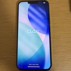 iPhone13ProMax256GB グラファイト 箱 充電ケーブル新品