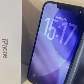 【極美品】iPhone 13 Pro Max MNCU3 J/A 128GB