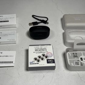 【修理済・バッテリー新品】SONY WF-1000XM4 本体交換済