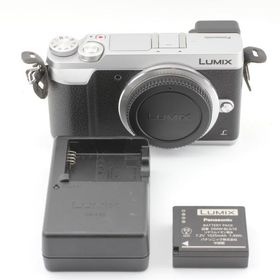 パナソニック DMC-GX7MK2-S