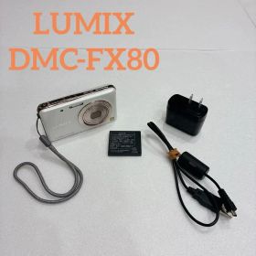 デジカメPanasonic LUMIX DMC-FX80 パナソニックルミックス