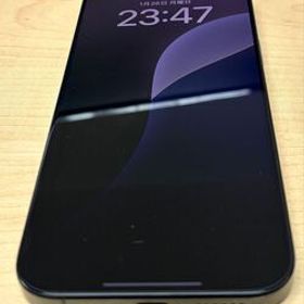 バッテリー100％ 国内版SIMフリー iPhone 16 Pro Max ブラックチタニウム 256GB MYWG3J/A Apple