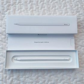 【ジャンク】Apple Pencil 第2世代（ペアリング可・充電不可・美品）