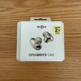 【未開封】Shokz OpenDots ONE SKZ-EP000053 グレー