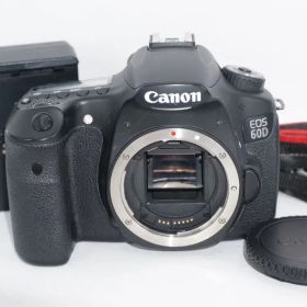 Canon キャノン EOS 60D