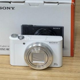 ソニー SONY DSC-WX500 ホワイト SDカード16GB付