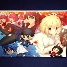 MELTY BLOOD TYPE LUMINA MELTY BLOOD ARCHIVES 初回限定版 PS4 メルティブラッド タイプルミナ ML10-07 ④