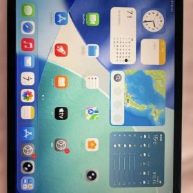 iPad Pro (第2世代) シルバー 11インチ 本体(おまけ付き)