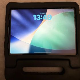 IPAD PRO 11inch 2nd Generation 256gb