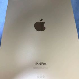 【美品】iPad Pro 11インチ M4 256GB シルバー（室内使用のみ）