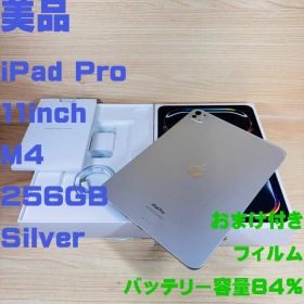 P346 美品 iPad Pro M4 11インチ 256GB おまけ付き