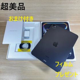 P34 超美品 iPad Pro M4 11インチ 256GB おまけ付き