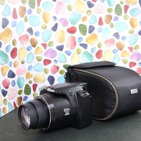 【N】 ◇美品 ◇Nikon COOLPIX P90 ◇近くも遠く撮れる♪ HSM
