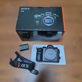 【最終値下/25日まで】SONY α9 ICLE-9 ボディ