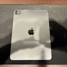 Apple iPad Pro 11インチ 第2世代 スペースグレー 256GB